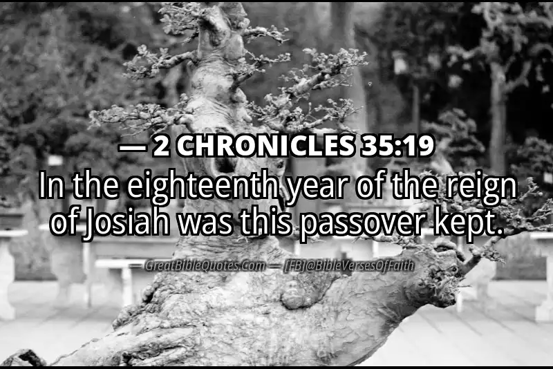 Bible verse: 2 CHRONICLES 35:19 Image