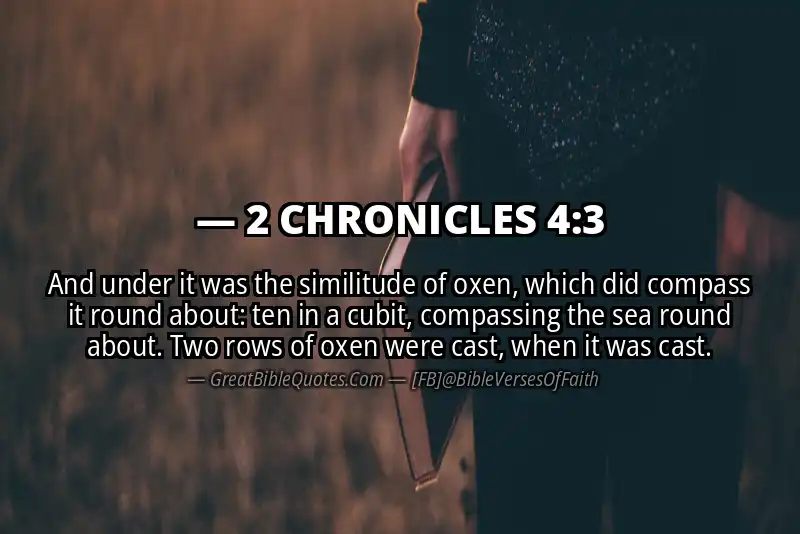 Bible verse: 2 CHRONICLES 4:3 Image