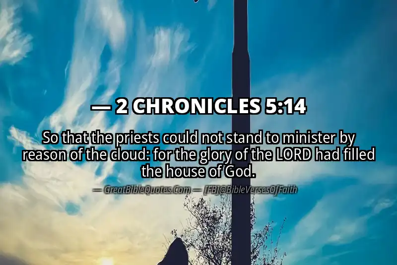 Bible verse: 2 CHRONICLES 5:14 Image