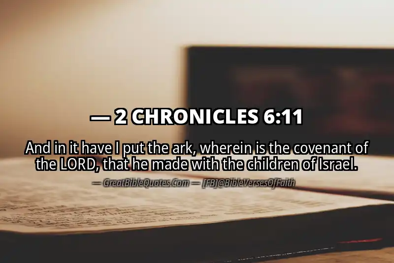 Bible verse: 2 CHRONICLES 6:11 Image