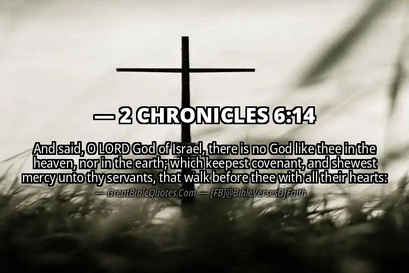 Bible verse: 2 CHRONICLES 6:14 Image