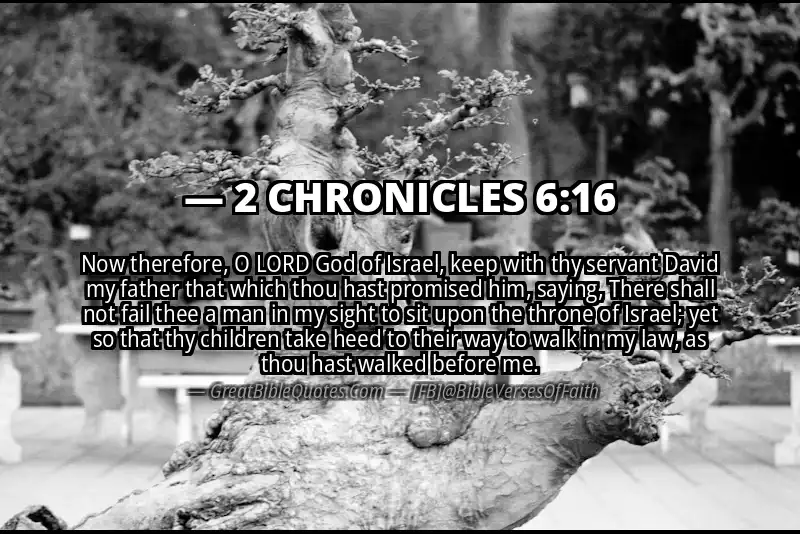 Bible verse: 2 CHRONICLES 6:16 Image