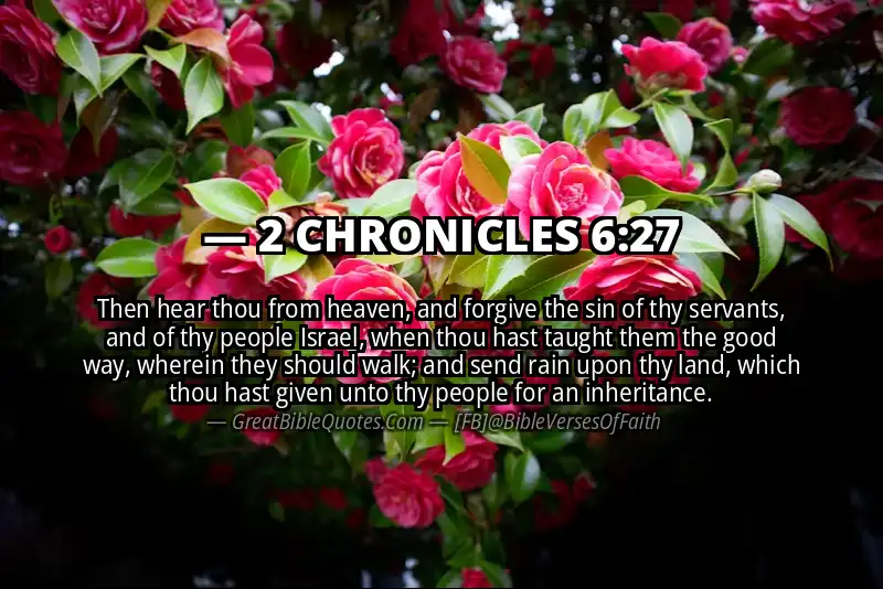 Bible verse: 2 CHRONICLES 6:27 Image