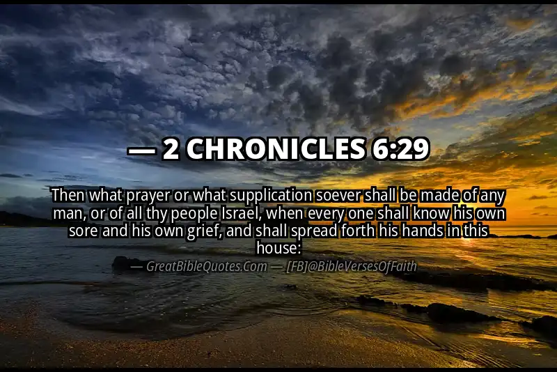 Bible verse: 2 CHRONICLES 6:29 Image
