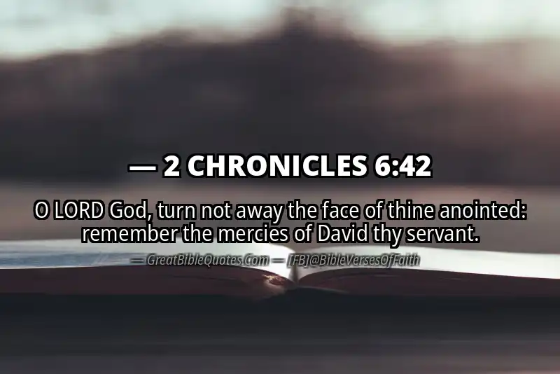 Bible verse: 2 CHRONICLES 6:42 Image