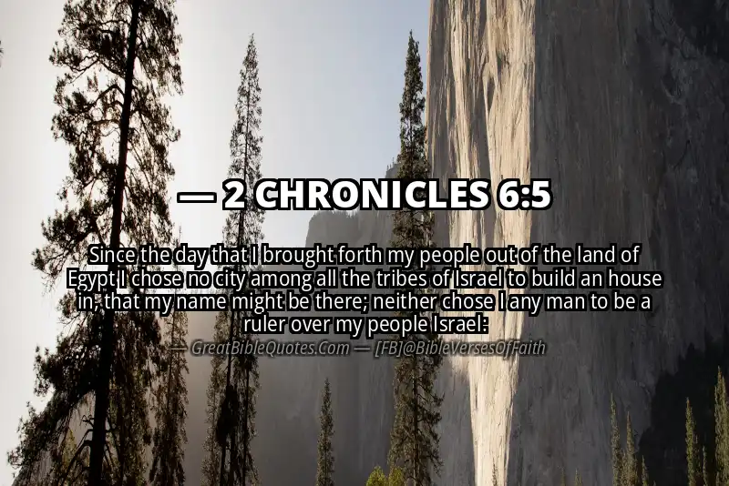 2 CHRONICLES 6:5 Verse