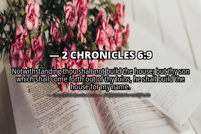 Bible verse: 2 CHRONICLES 6:9 Image