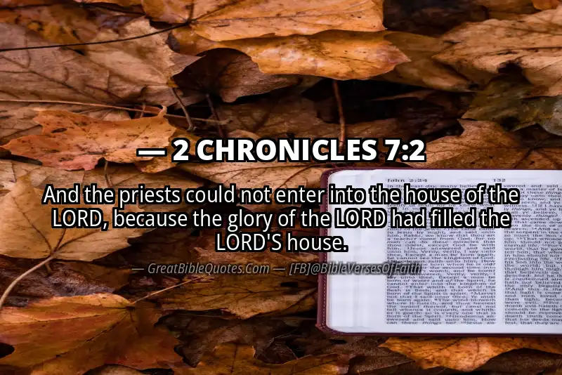 Bible verse: 2 CHRONICLES 7:2 Image