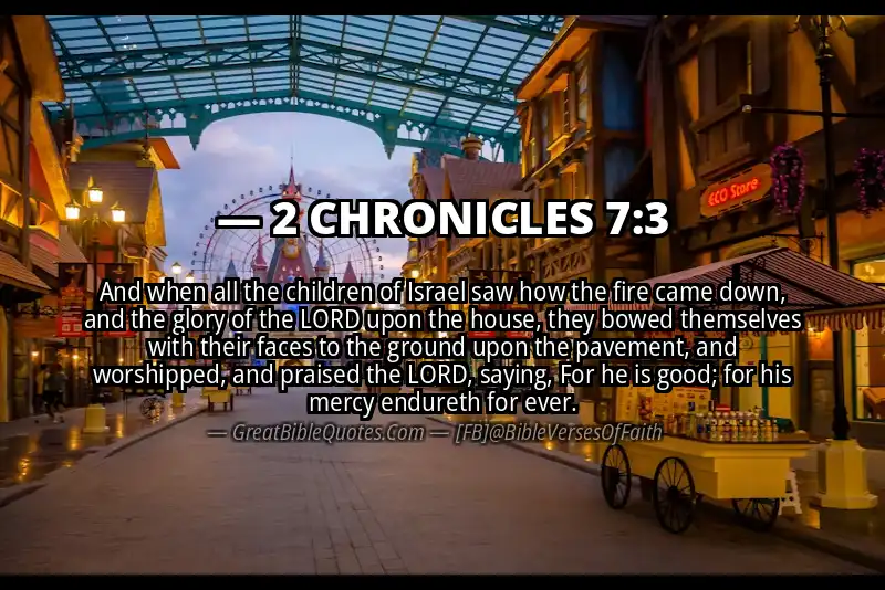 2 CHRONICLES 7:3 Verse