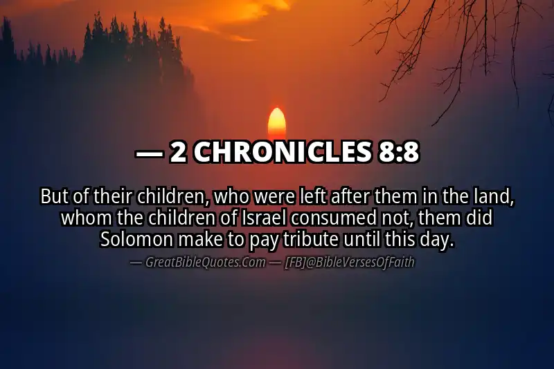 Bible verse: 2 CHRONICLES 8:8 Image