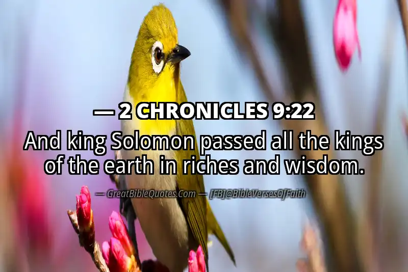 Bible verse: 2 CHRONICLES 9:22 Image
