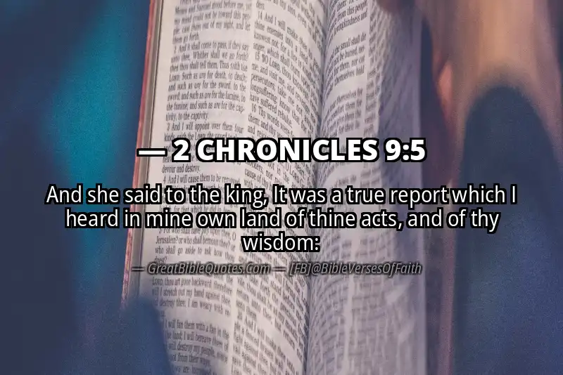 2 CHRONICLES 9:5 Verse