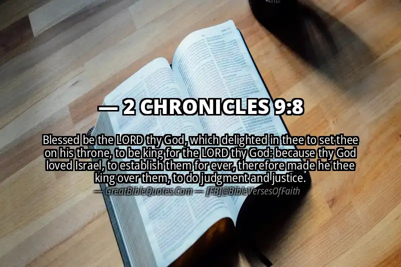 2 CHRONICLES 9:8 Verse