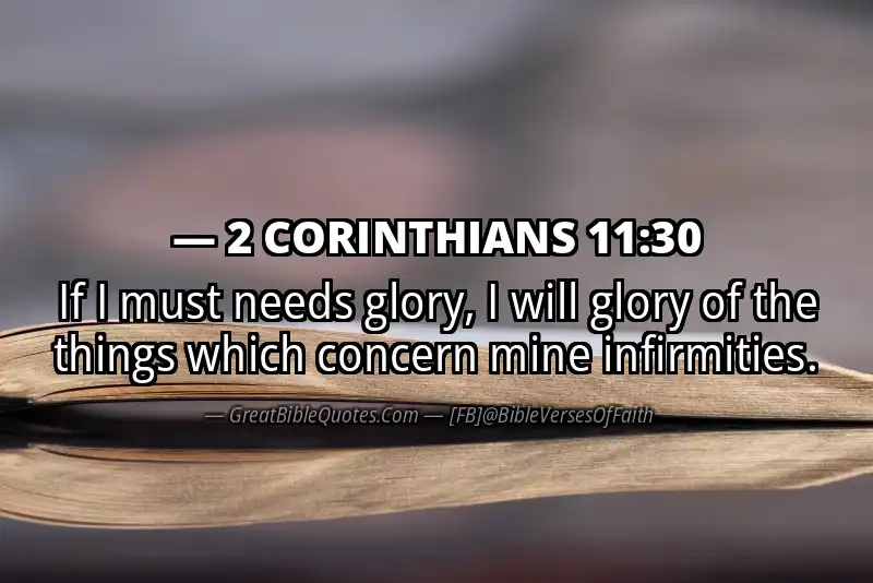 2 CORINTHIANS 11:30 Verse
