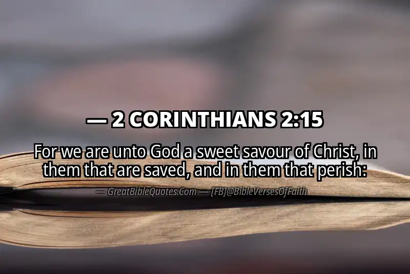 Bible verse: 2 CORINTHIANS 2:15 Image