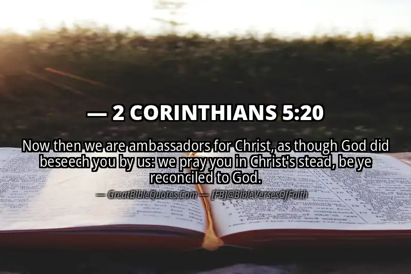2 CORINTHIANS 5:20 Verse