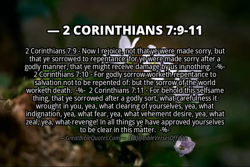 Image for 2 CORINTHIANS 7:9-11 Bible verse