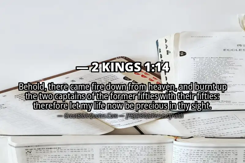 Bible verse: 2 KINGS 1:14 Image