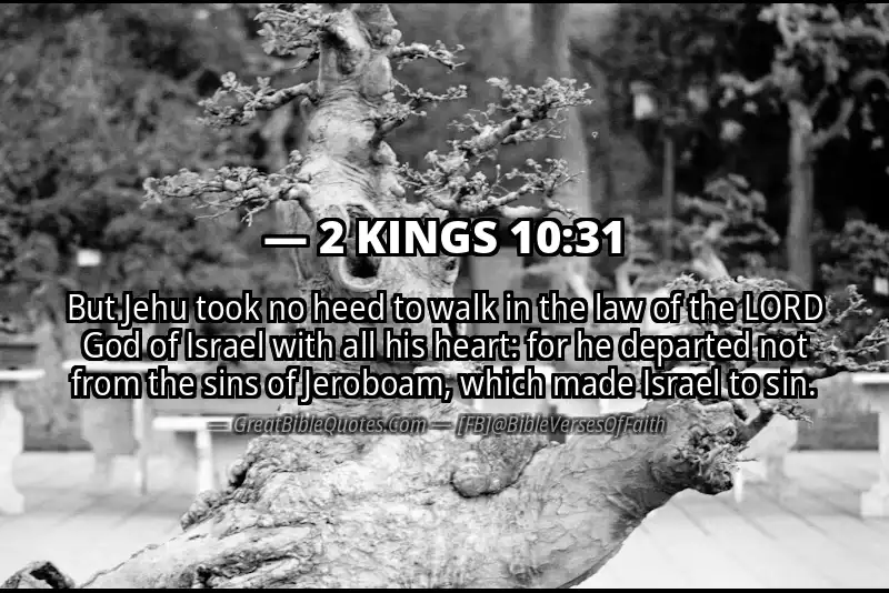 Bible verse: 2 KINGS 10:31 Image