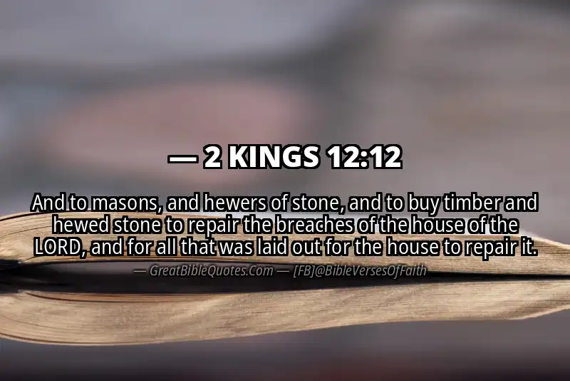 Bible verse: 2 KINGS 12:12 Image