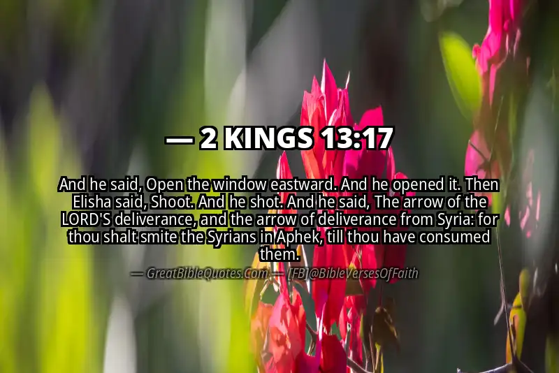2 KINGS 13:17 Verse Image