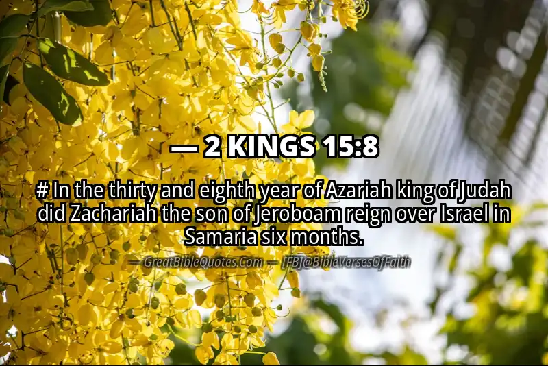 Bible verse: 2 KINGS 15:8 Image