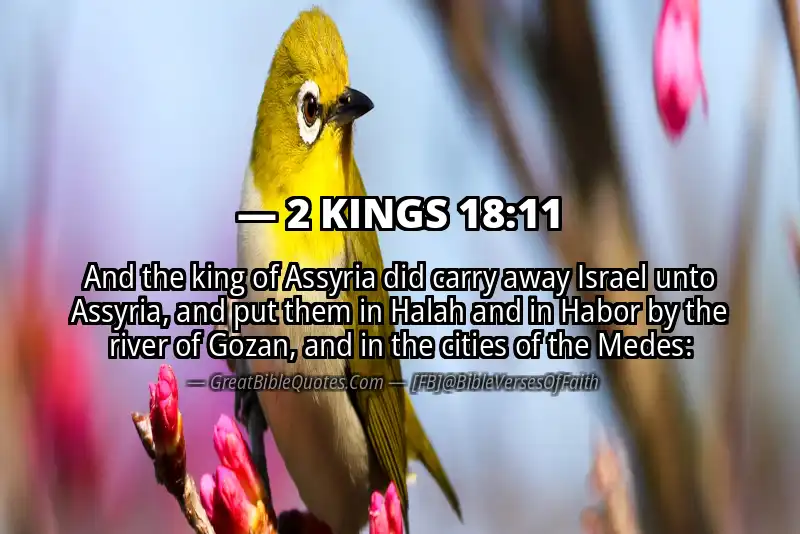 2 KINGS 18:11 Verse