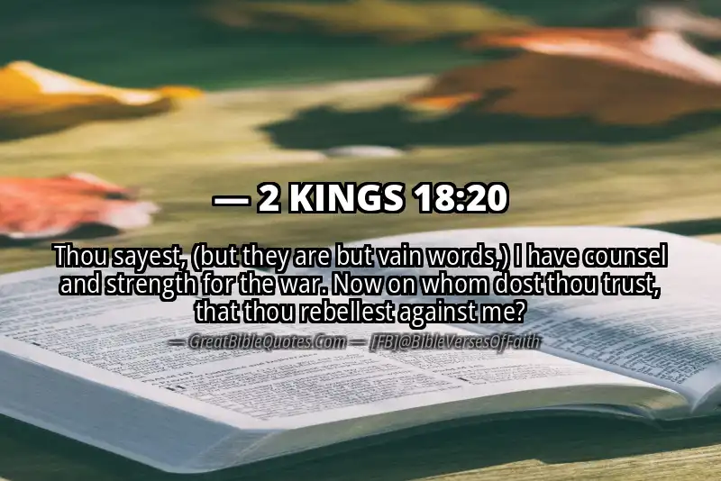 Bible verse: 2 KINGS 18:20 Image