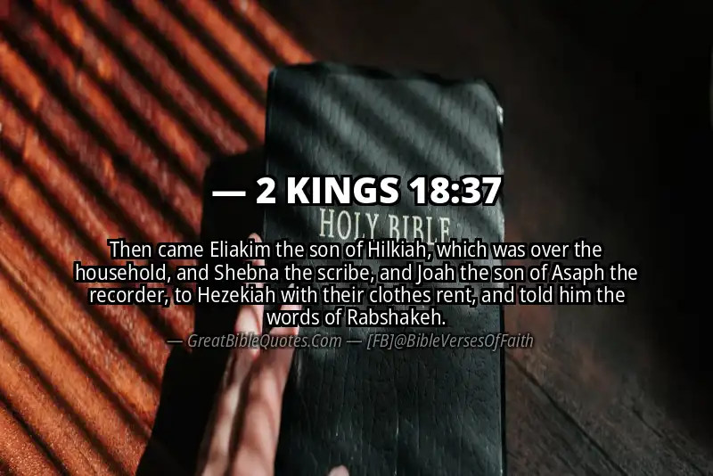 Bible verse: 2 KINGS 18:37 Image