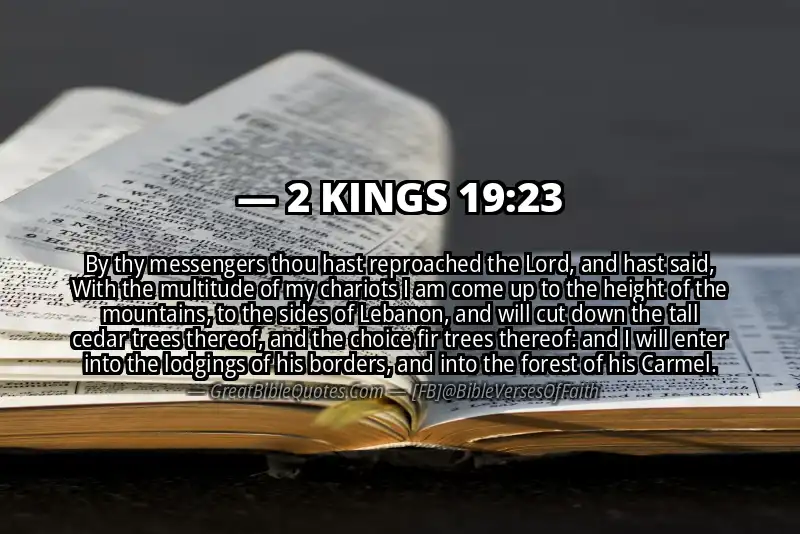 2 KINGS 19:23 Verse