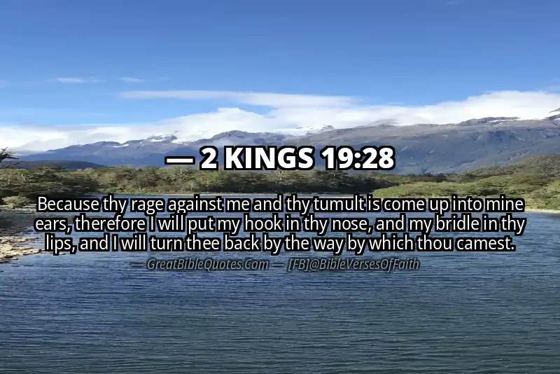 2 KINGS 19:28 Verse