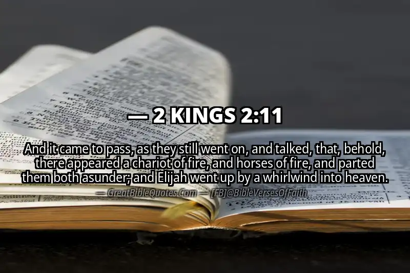 2 KINGS 2:11 Verse Image