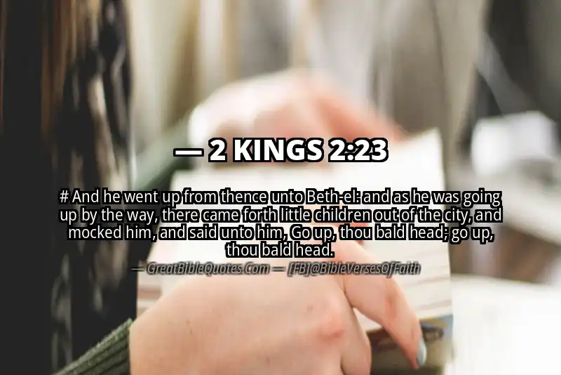 Bible verse: 2 KINGS 2:23 Image