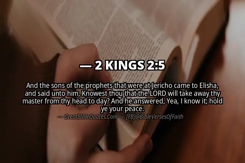 2 KINGS 2:5 Verse