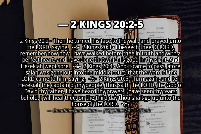 Image for 2 KINGS 20:2-5 Bible verse