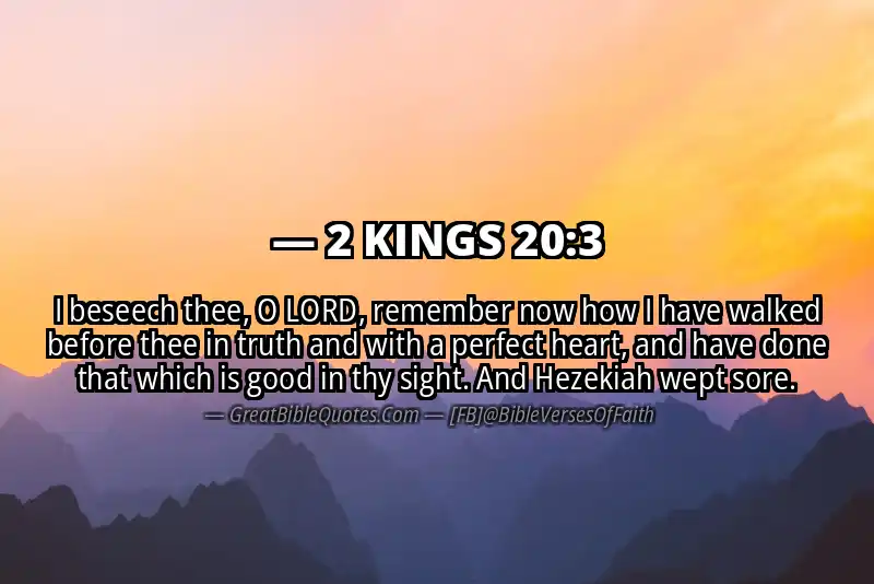Bible verse: 2 KINGS 20:3 Image