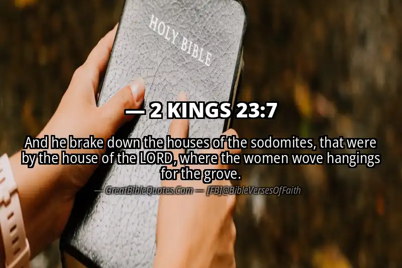 Bible verse: 2 KINGS 23:7 Image