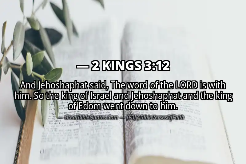 Bible verse: 2 KINGS 3:12 Image