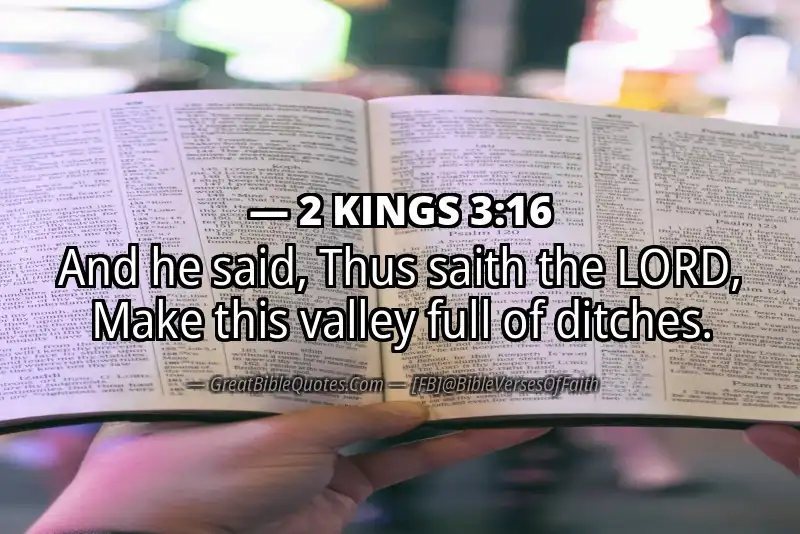 Bible verse: 2 KINGS 3:16 Image