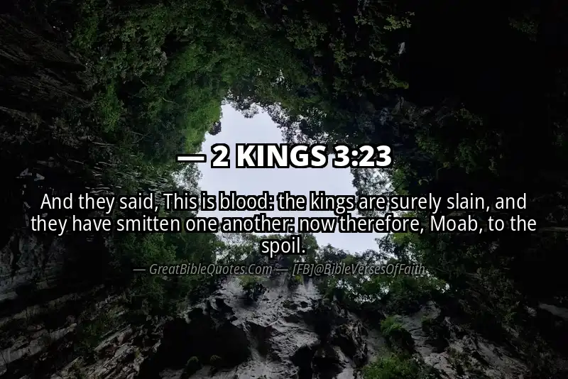 2 KINGS 3:23 Verse