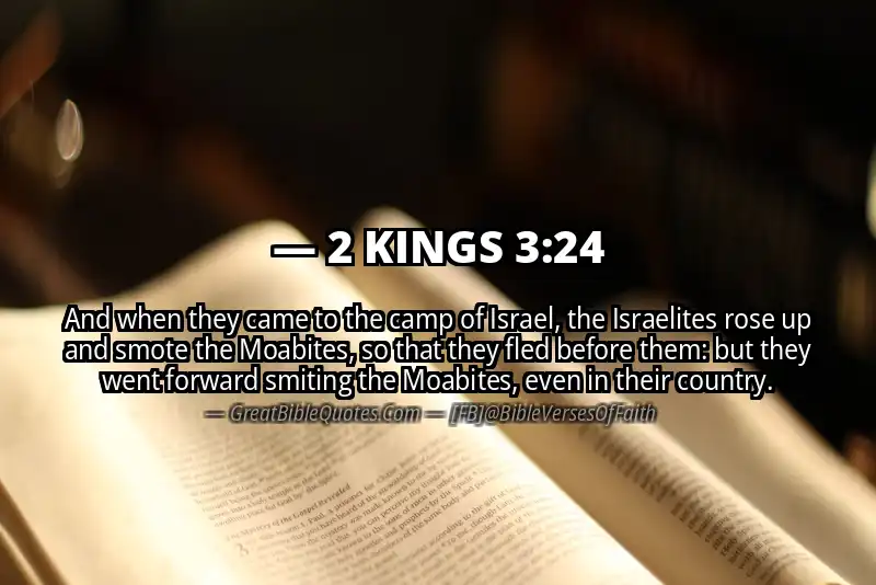 2 KINGS 3:24 Verse
