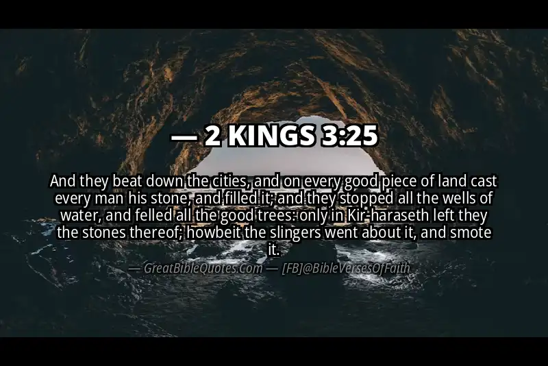 2 KINGS 3:25 Verse