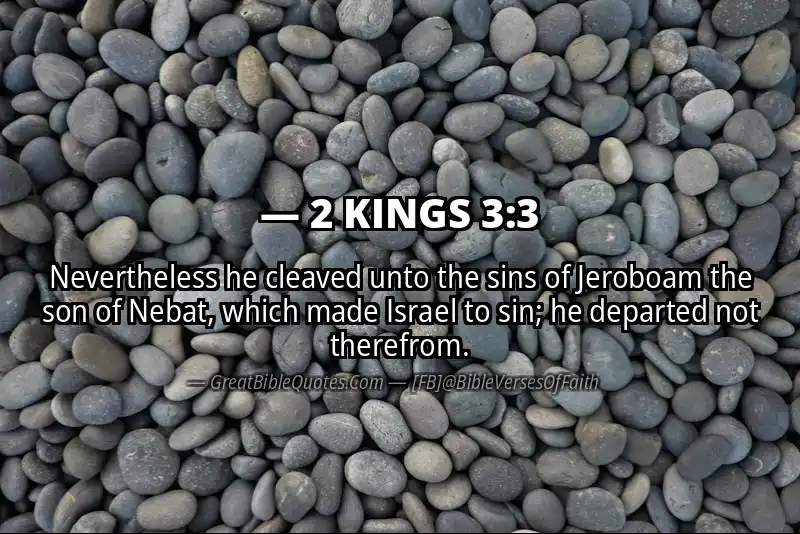 Bible verse: 2 KINGS 3:3 Image