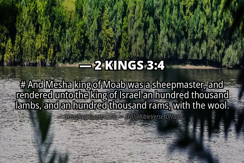 Bible verse: 2 KINGS 3:4 Image