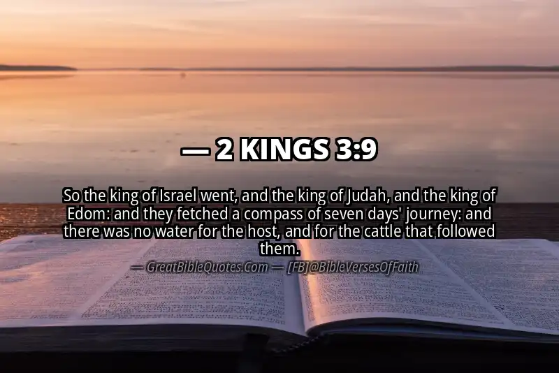 2 KINGS 3:9 Verse