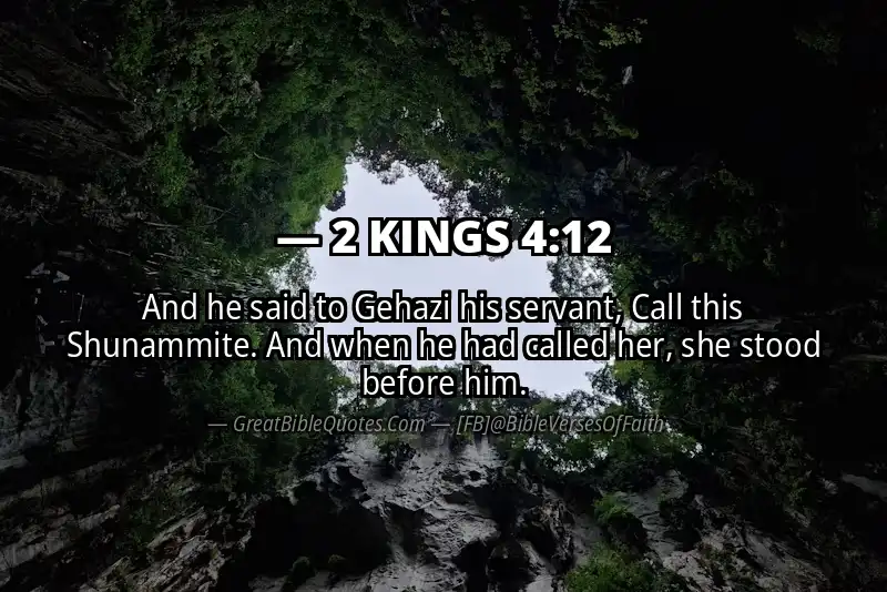 2 KINGS 4:12 Verse