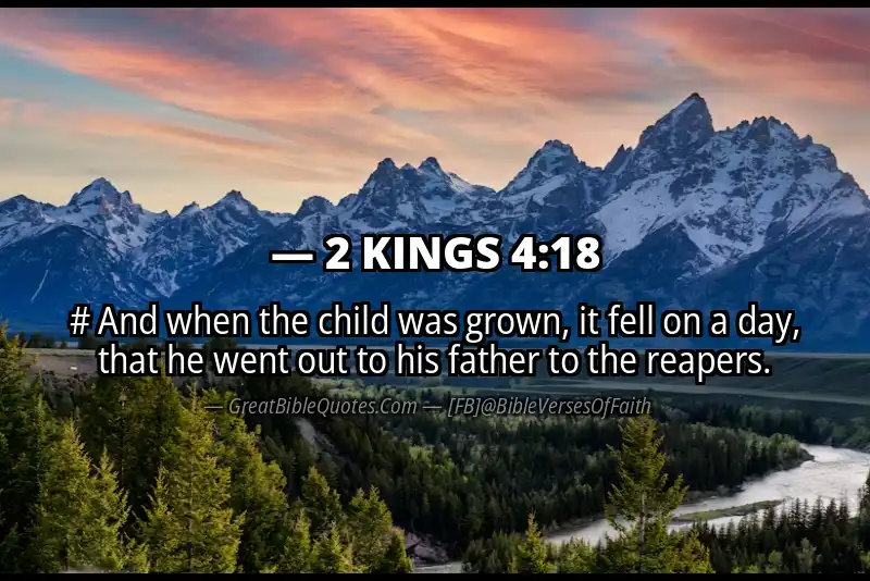 Bible verse: 2 KINGS 4:18 Image
