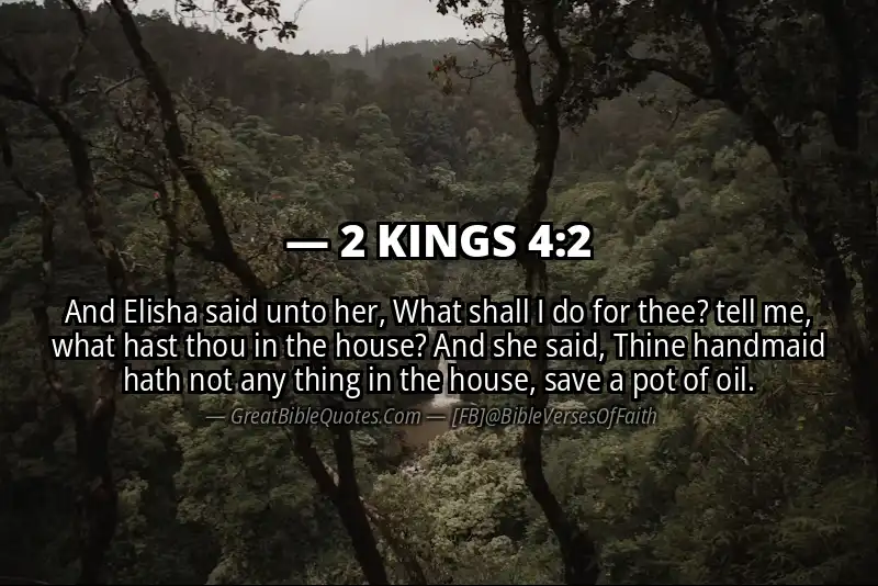 2 KINGS 4:2 Verse