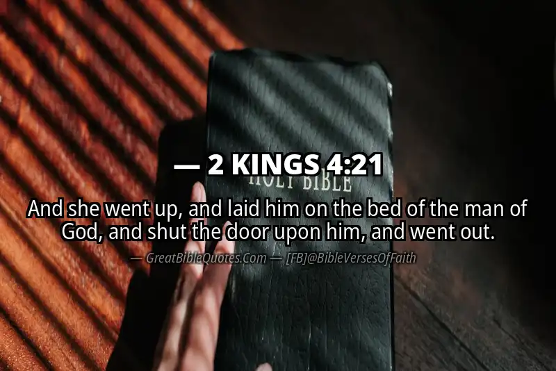 Bible verse: 2 KINGS 4:21 Image