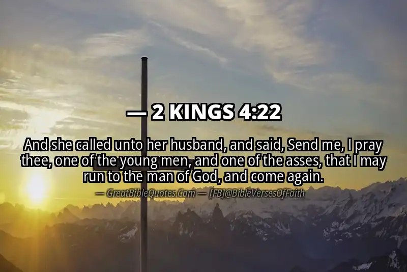Bible verse: 2 KINGS 4:22 Image